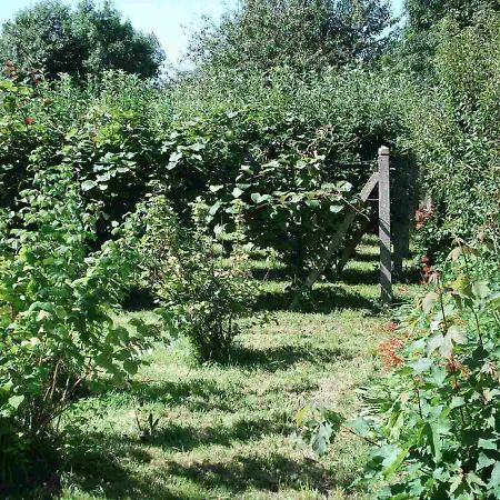 Le Clos Des Tilleuls La Vendelée Dış mekan fotoğraf