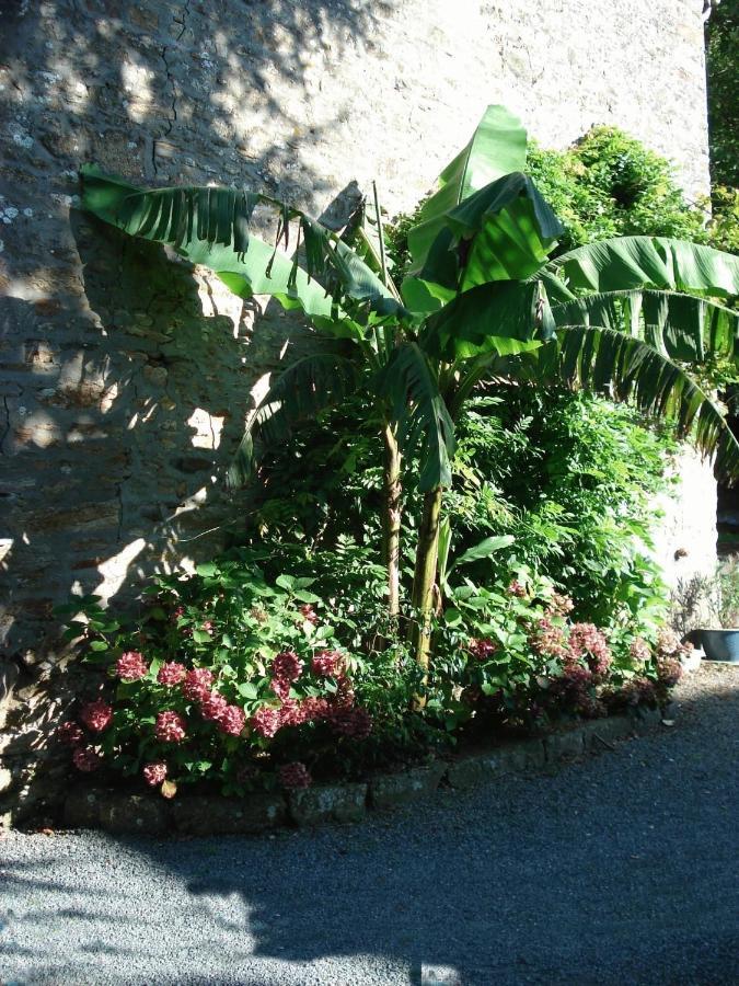 Le Clos Des Tilleuls La Vendelée Dış mekan fotoğraf